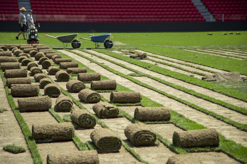 Nis puna për zëvendësimin e tapetit, “Air Albania” gati në shtator