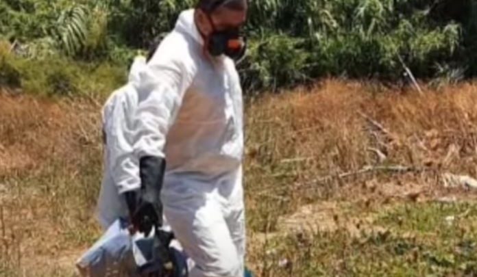 Gjendet skeleti i një njeriu brenda në fuçi në Greqi, mund t`i përkasi një shqiptari