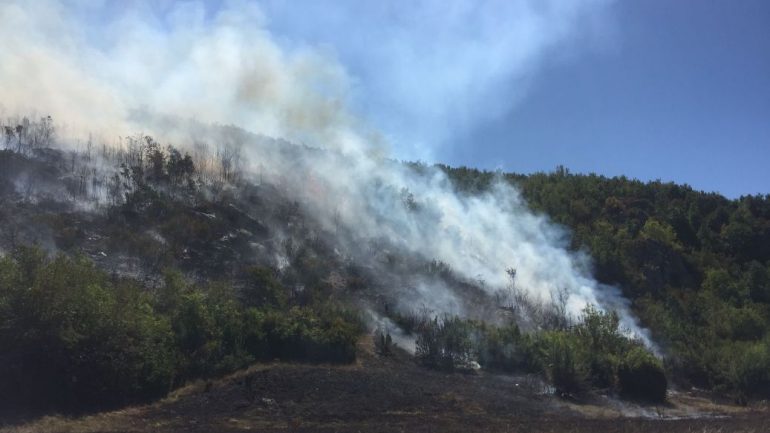 Parku Kombëtar prej tre ditësh nën flakë, Greqia ndërhyn nga ajri