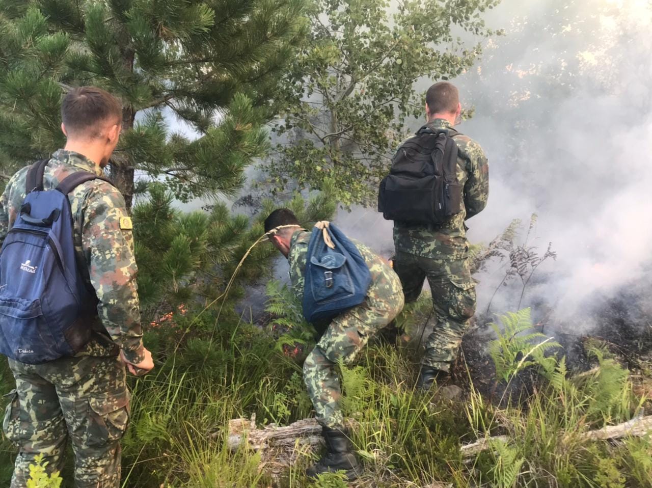 Zjarret, Peleshi: Mbeten nën kontroll dhe pa rrezik për zonat e banuara