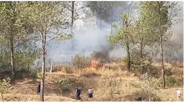 Shënohet viktima e parë nga zjarret në Shqipëri, humb jetën i moshuari