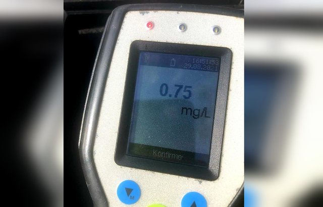 Drejtonte autobusin me 36 pasagjerë në gjendje të dehur, arrestohet shoferi