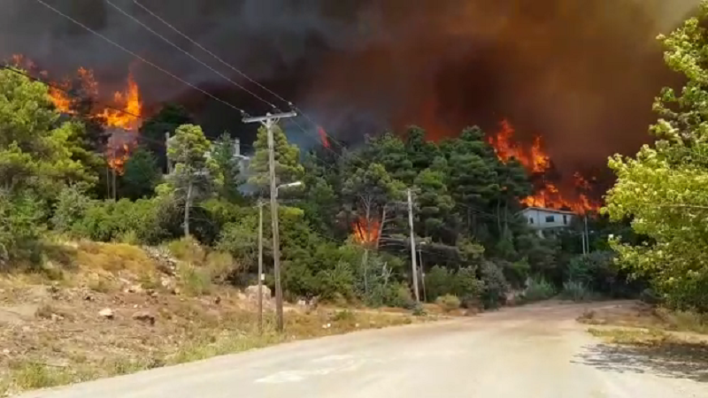 Shënohet viktima e parë nga zjarret në Greqi, humb jetën zjarrfikësi vullnetar