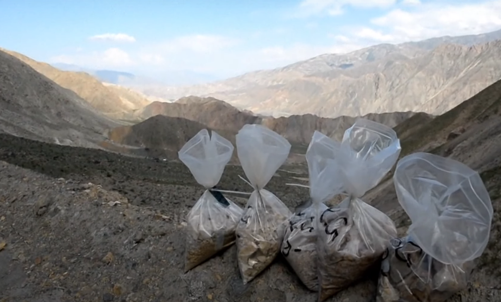 Talebanët, “pasuri përrallore”: “Janë ulur” mbi 1 trilionë dollarë minerale!