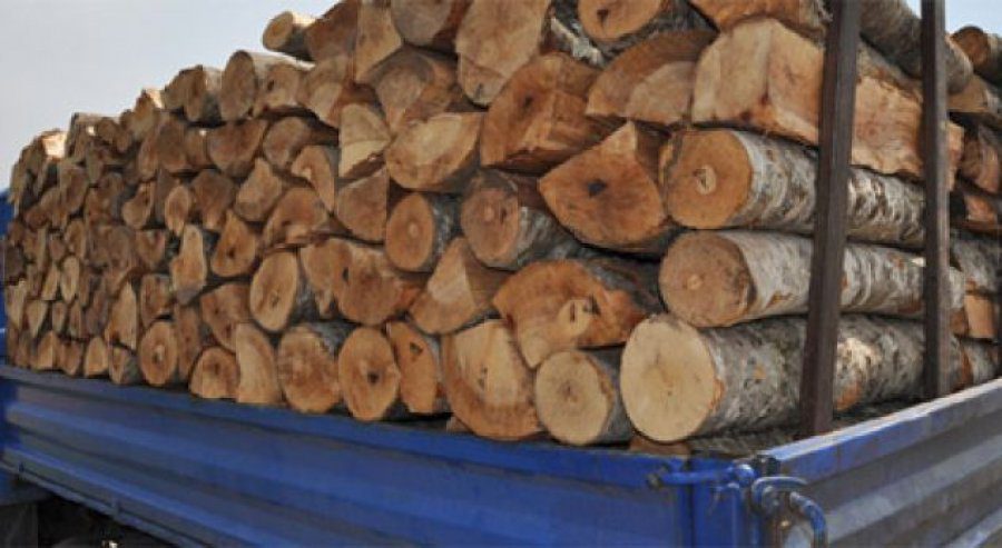 Po transportonin dru të prera në mënyrë të paligjshme, pranga 35-vjeçarit. Në kërkim shoku i tij (EMRAT)