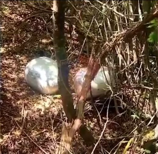 Po tentonte të trafikonte drogë drejt Greqisë, arrestohet 48-vjeçari