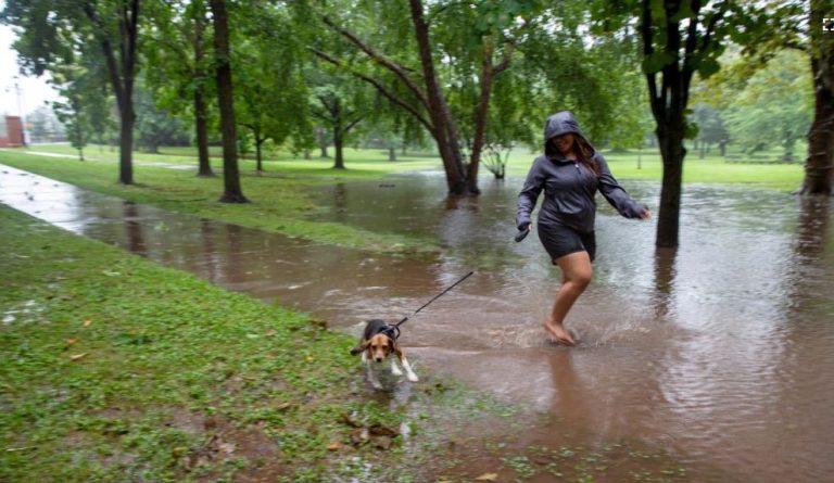 Tërhiqet stuhia tropikale Henri, amerikanët fillojnë pastrimin