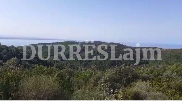 Riaktivizohet vatra e zjarrit në Durrës (VIDEO)
