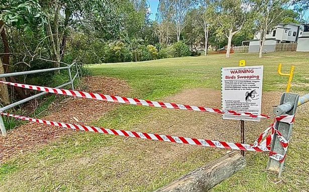 Laraska i shkakton vdekjen foshnjes 5-muajshe