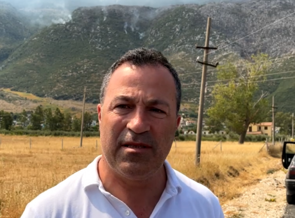 Peleshi: Ka prova që zjarret janë të qëllimshme, qytetarët të denoncojnë