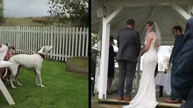 Çifti ishte gati të martohej, por ja kush shprehu kundërshtinë për celebrimin (VIDEO)