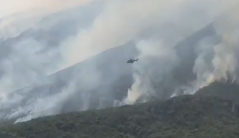 Situata me zjarret në vendin tonë, Peleshi: Dy vatrat më kritike janë Karaburuni dhe Kurbini