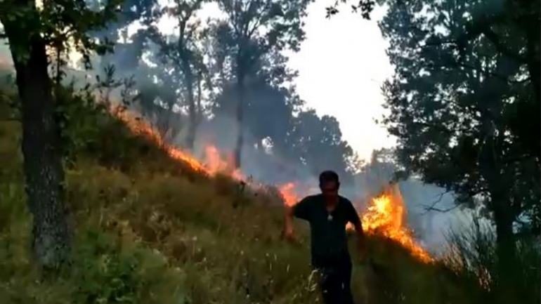 Arrestohen 3 persona, dyshohet se janë autorët e zjarrit në Karaburun