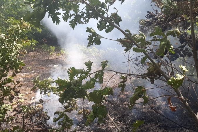 Shënohet viktima e parë nga zjarret në Kosovë