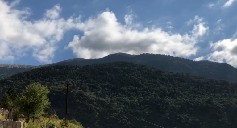 Ende aktive vatra e zjarrit në Vlorë, nëse favorizohen nga era rrezikohet Parku Kombëtar