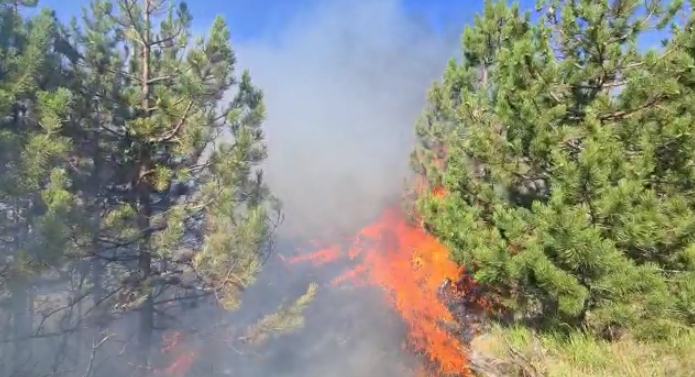 Akuzohet për “Shkatërrim i pronës me zjarr”, procedohet penalisht 57-vjeçari