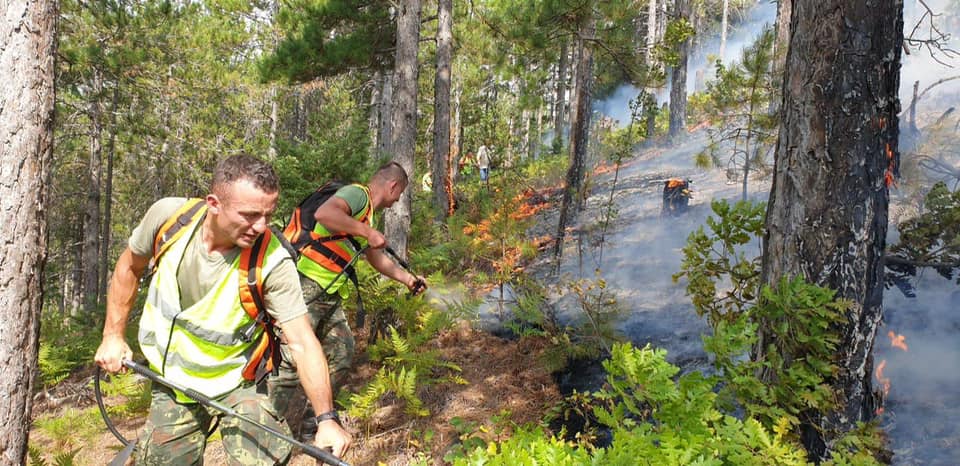 Zjarret në vend, Rama: E keqja më e madhe në disa zona është shmangur