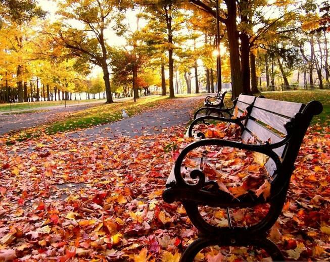 Si parashikohet moti javën e fundit të shtatorit