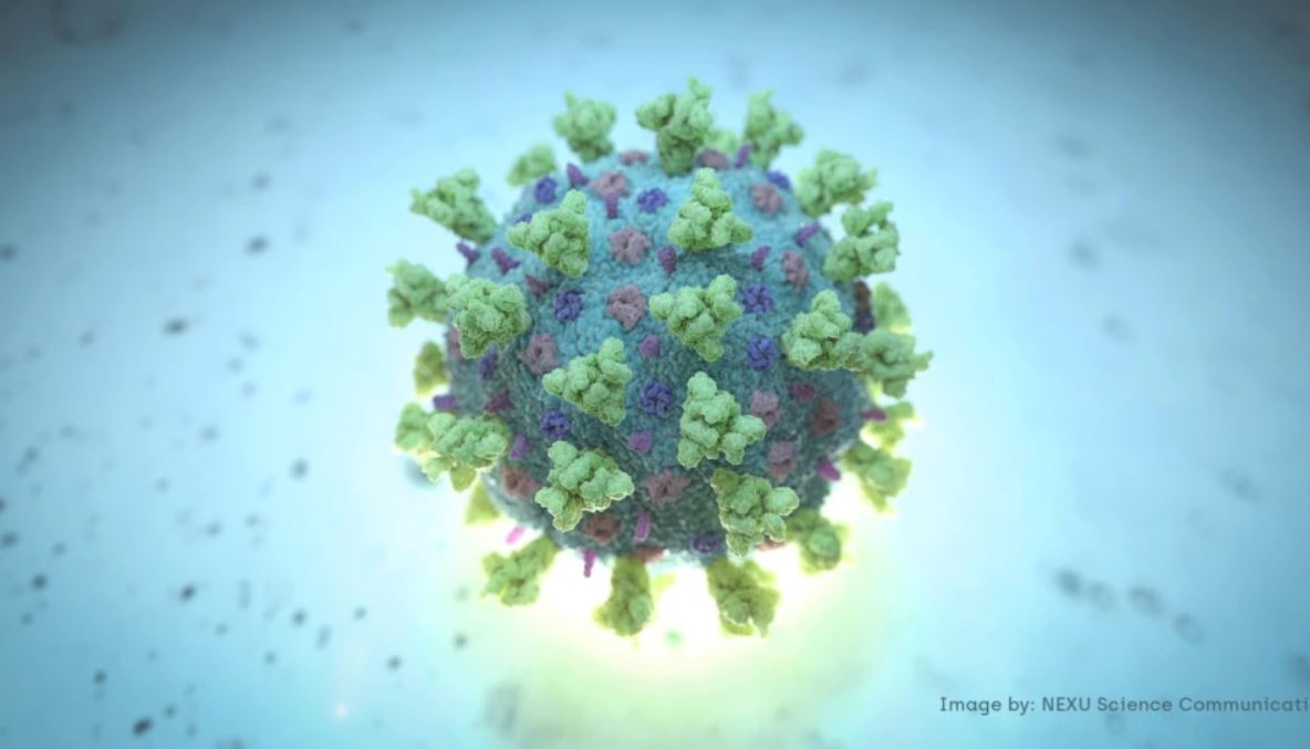 Çfarë dimë për variantin Mu?