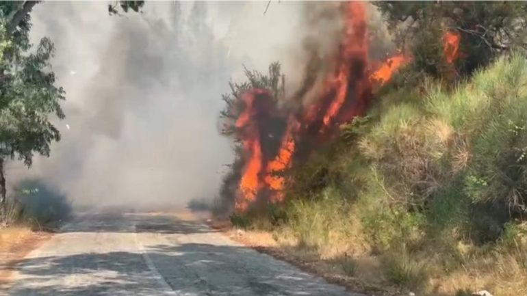 Përfshihet nga flakët një sipërfaqe toke, shpërthejnë municione në zonë