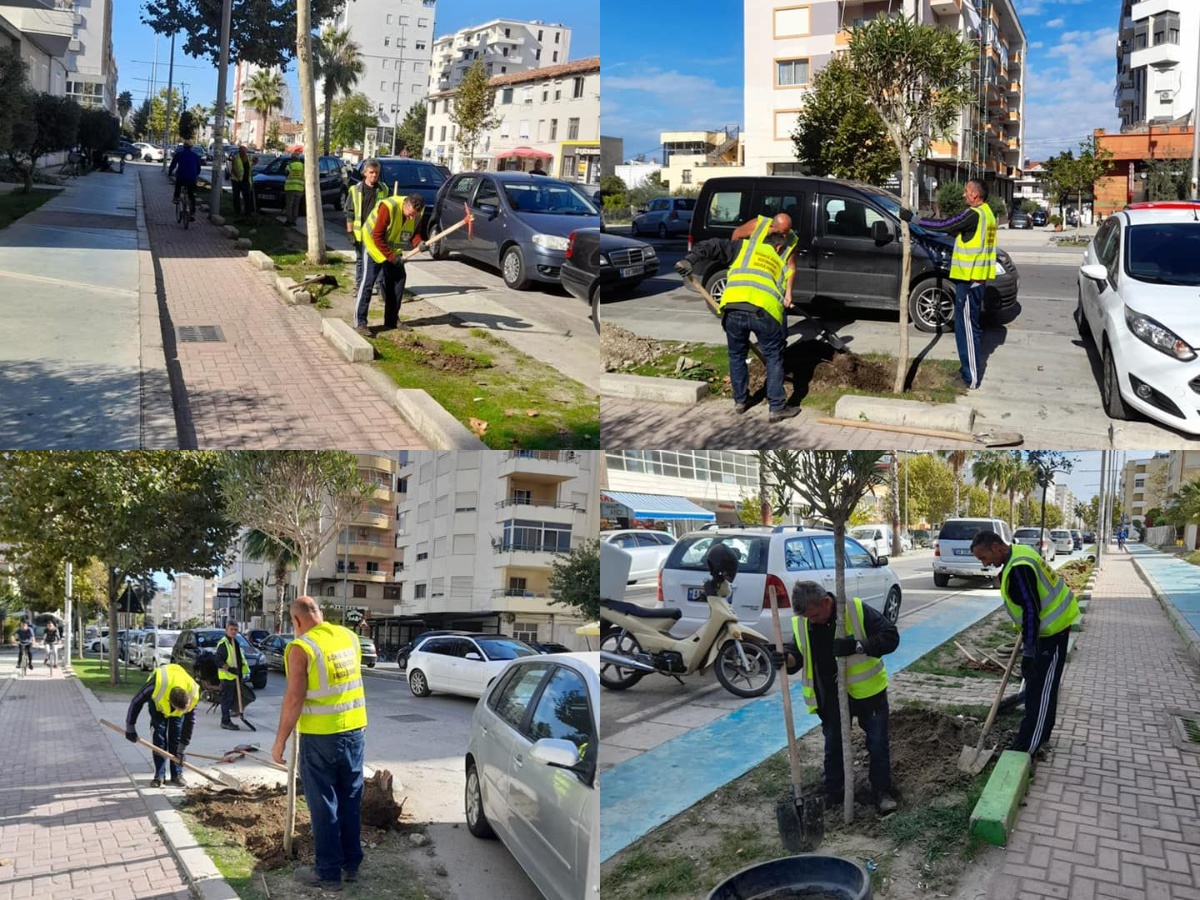 Mbillen pemë dekorative në rrugën &#8220;Pavarësia&#8221;, bashkia Durrës: Përparësia jonë është të ruajmë mjedisin