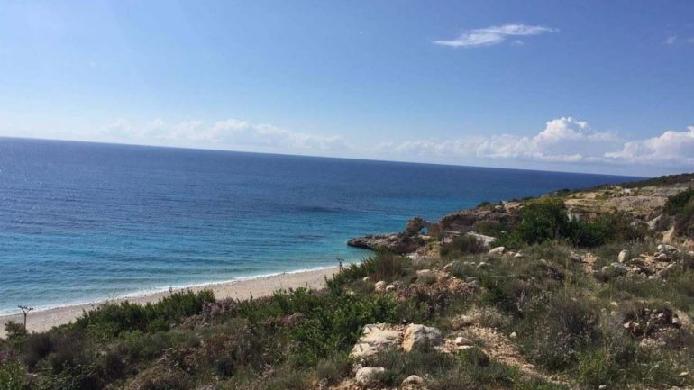 Arrestohen 2 zyrtarë, falsifikuan formularët për regjistrimin e një trualli