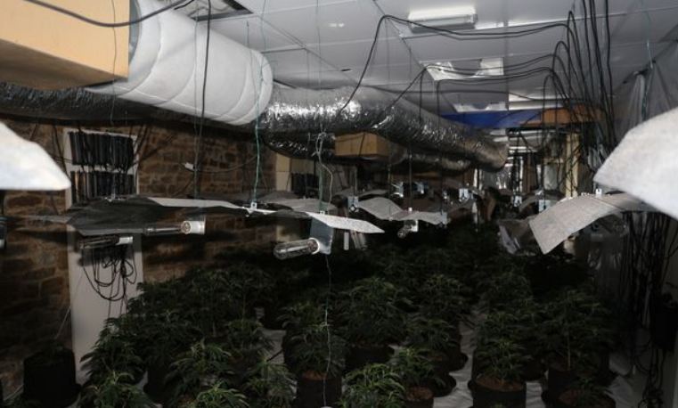 Në “shtëpi bari” me vlerë 100 mijë paund, arrestohet shqiptari