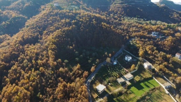 Dëmshpërblim nga tërmeti për një banesë që nuk ekziston, arrestohen 3 persona