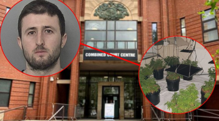 1100 rrënjë kanabisi në “shtëpinë e barit”, zhurma “tradhëton” 22-vjeçarin shqiptar (EMRI)