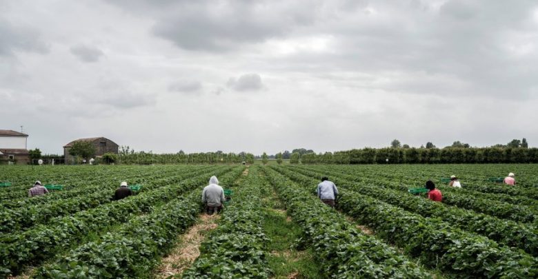 Italia do të hapë kufijtë për 80 mijë emigrantë të rinj, përfiton edhe Shqipëria