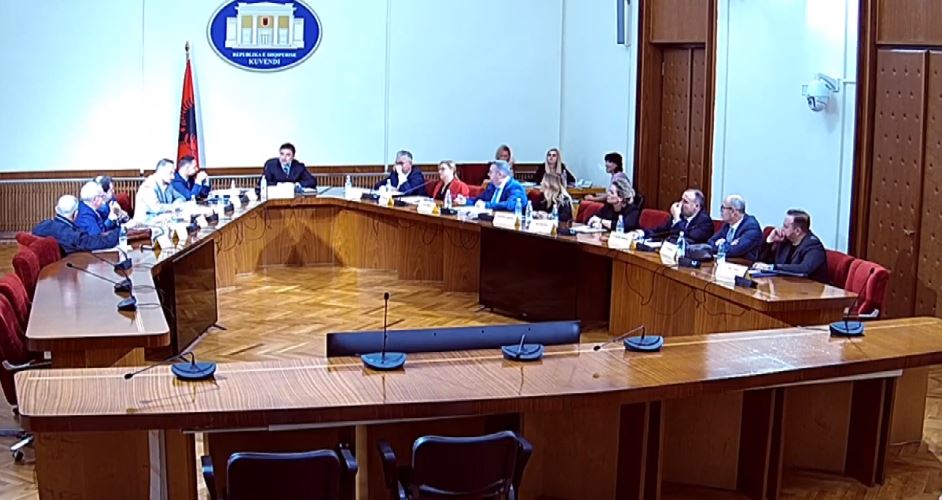 EMRAT/ Kush do të jenë ekspertët që do të hetojnë zgjedhjet e 25 prillit