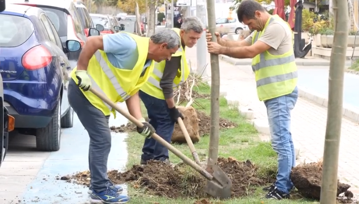 Mbillen 200 rrapa në rrugën &#8220;Pavarësia&#8221;, Sako: Fokusi ynë, shtimi i hapësirave të gjelbëra në Durrës (VIDEO)