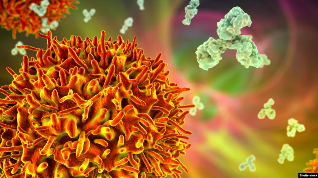 Varianti i ri i koronavirusit po përhapet në Afrikën e Jugut/ OBSH thërret sot një takim urgjent