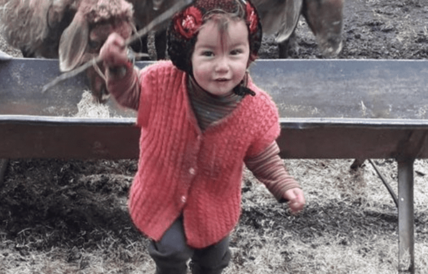 Shtatë ditë e humbur, gjendet trupi i pajetë i 3-vjeçares