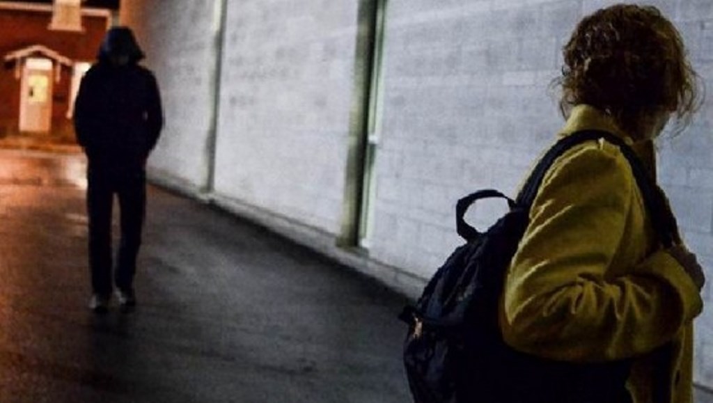 E pikasën të vetme në lokal dhe e ndoqën nga pas, shqiptari bashkë me shokun p*rdhunon nënën e një fëmije (EMRAT)