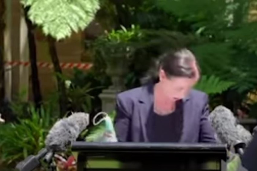 E pazakontë! Një merimangë ndërpret konferencën e ministres së Shëndetësisë (VIDEO)