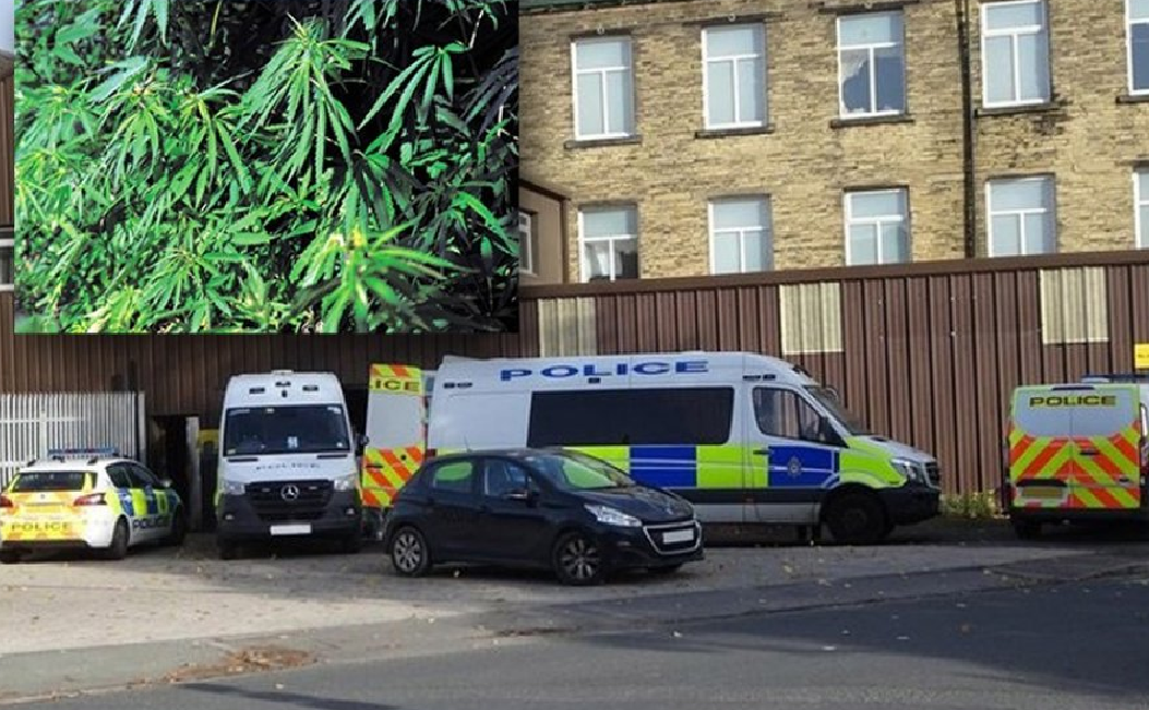 EMRAT/ U kapën në “shtëpi bari” me vlerë 1 milionë sterlina, dënohen shqiptarët