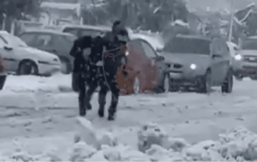 Operacion antidrogë, arrestohet një tjetër anëtar i grupit kriminal, shkon në 187 kg sasia e drogës së sekuestruar (EMRI)