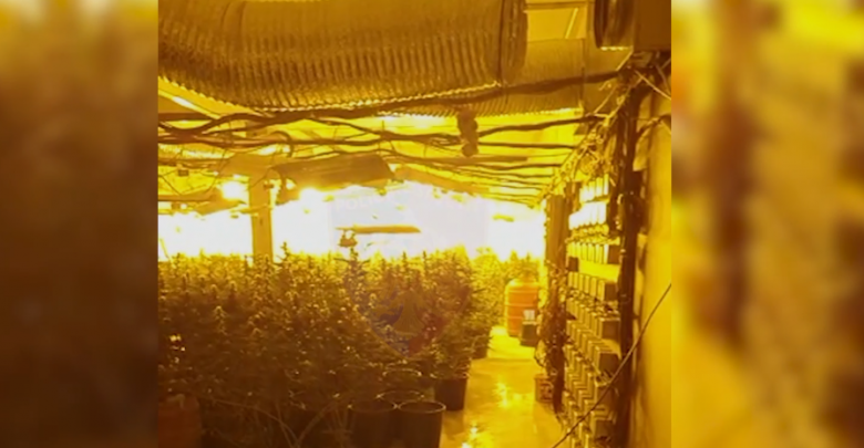 E kishin kthyer lokalin në laborator droge/ Arrestohen 7 persona (EMRAT)