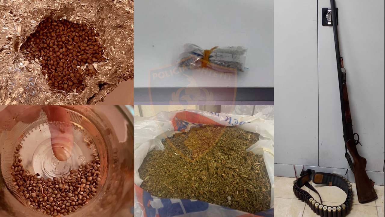 U kapën me drogë në makinë, arrestohen babë e bir, në banesë iu gjetën mbi 2 mijë fara kanabisi dhe armë gjahu