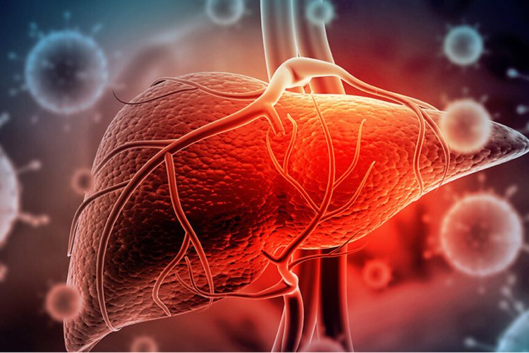 Si të mbroni mëlçinë nga diabeti? Hapat që sugjerojnë mjekët