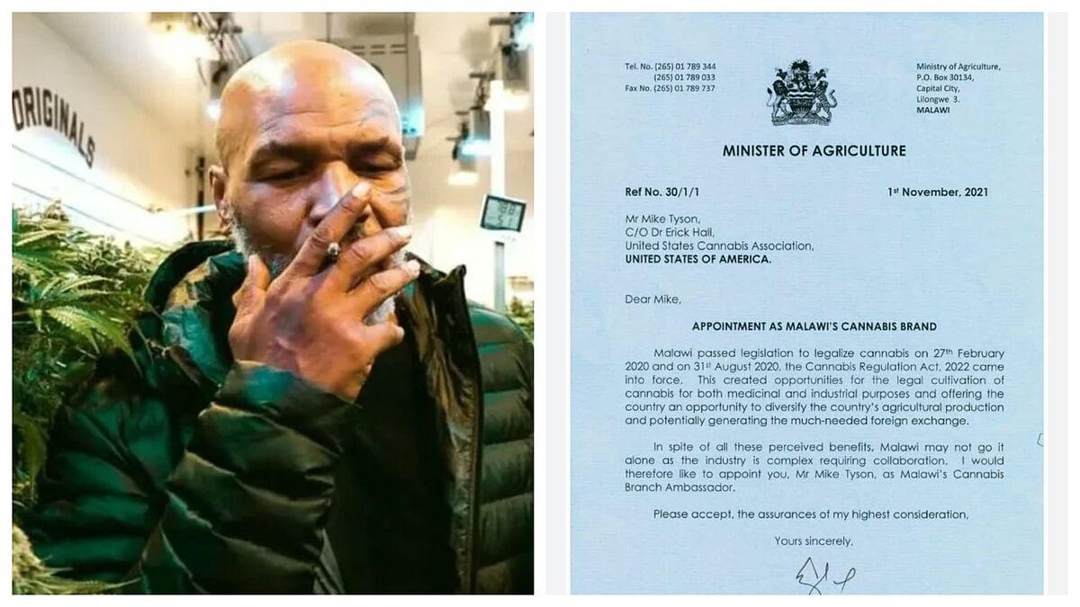 Mike Tyson ambasadori i kanabisit në Malavi