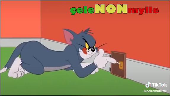 Përplasja Berisha-Basha në PD, Rama poston videon: Tomy dhe Jerry zihen për çelësin dhe bravën