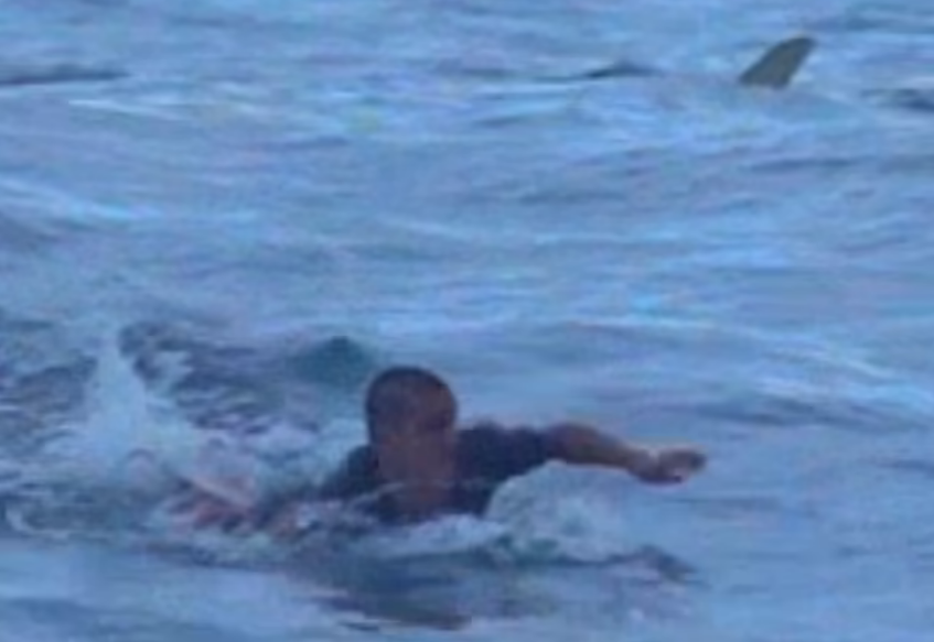 Momentet e frikshme kur sërfisti sheh peshkaqenin shumë pranë tij (VIDEO)