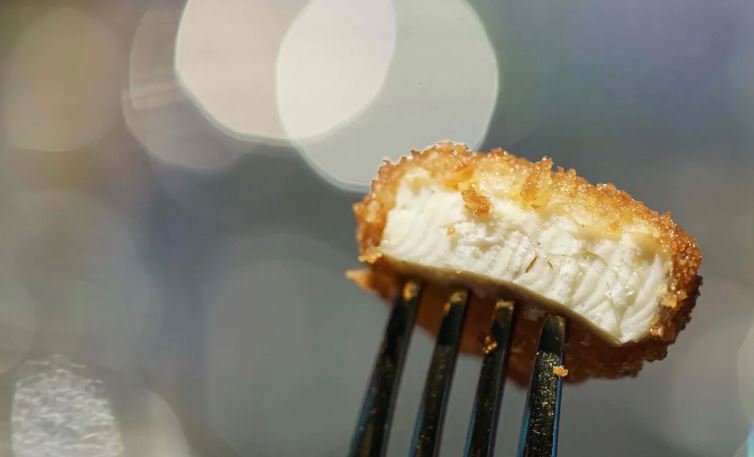 E ardhmja e bujqësisë dhe revolucioni i ushqimit të kultivuar në laboratorë