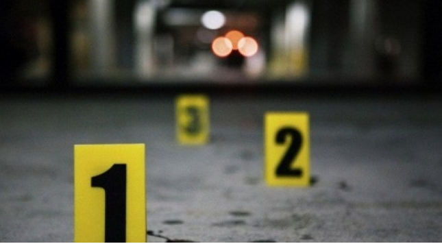 Iu gjetën 3 pika gjaku në xhaketë/ Burgoset pas 33 vitesh shqiptari, ja sesi kishte vrarë pedagogen e universitetit