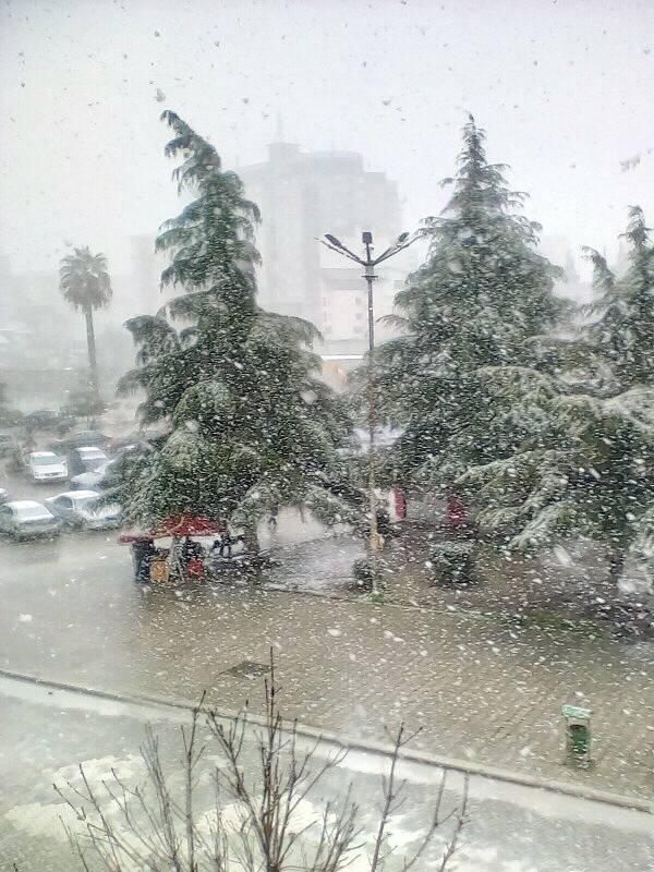 Dëbora zbret si rrallëherë edhe në Fier