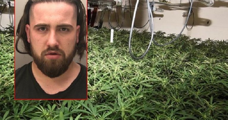 EMRI/ U kap me 171 bimë kanabisi, shqiptari “ngre supet” në Gjykatë: “Nuk di frengjisht, nuk kuptoj” (Dënimi që iu dha)