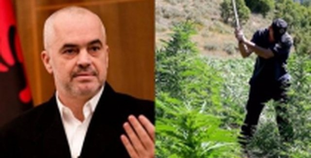 A duhet legalizuar kanabisi? Rama kërkon ndihmën e qytetarëve