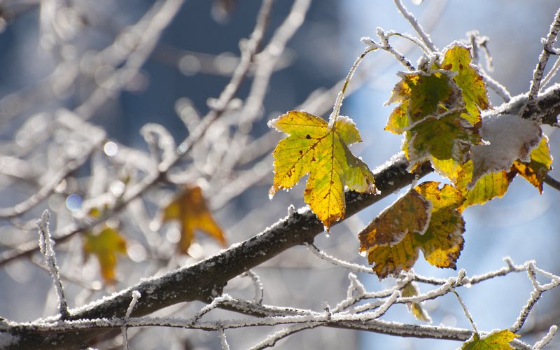 E enjtja dhe e premtja, ditët më të ftohta! Sa do të ulen temperaturat